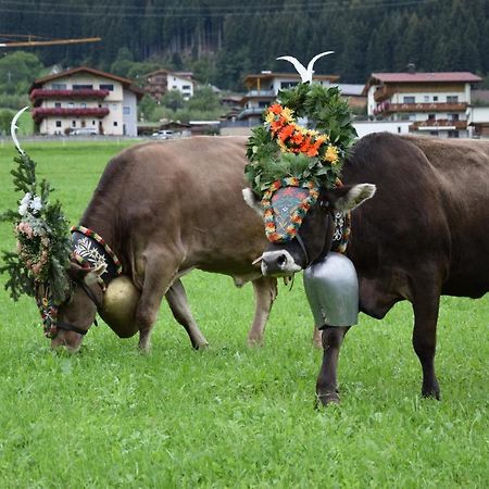 Ferienhaus Oberhuben فونغيبيرغ المظهر الخارجي الصورة